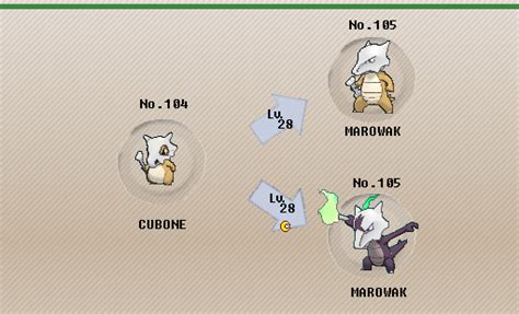 marowak evolution level|Marowak .